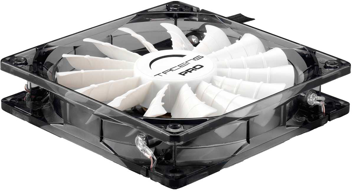 54317 Tacens