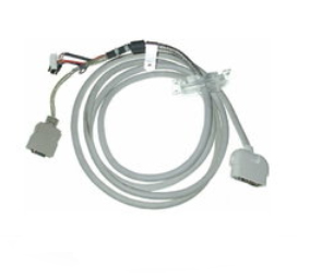 MSPA2625 Apple