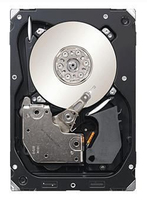 MS-ST3300655LC