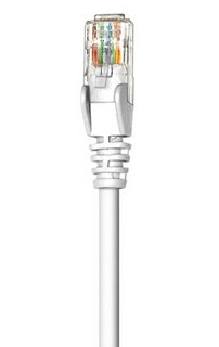 318082 Intellinet