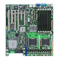 DSBF-D