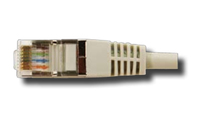 CP0013